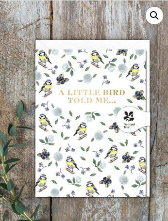 A Little Bird Told Me Blank Notelet VIP Gift